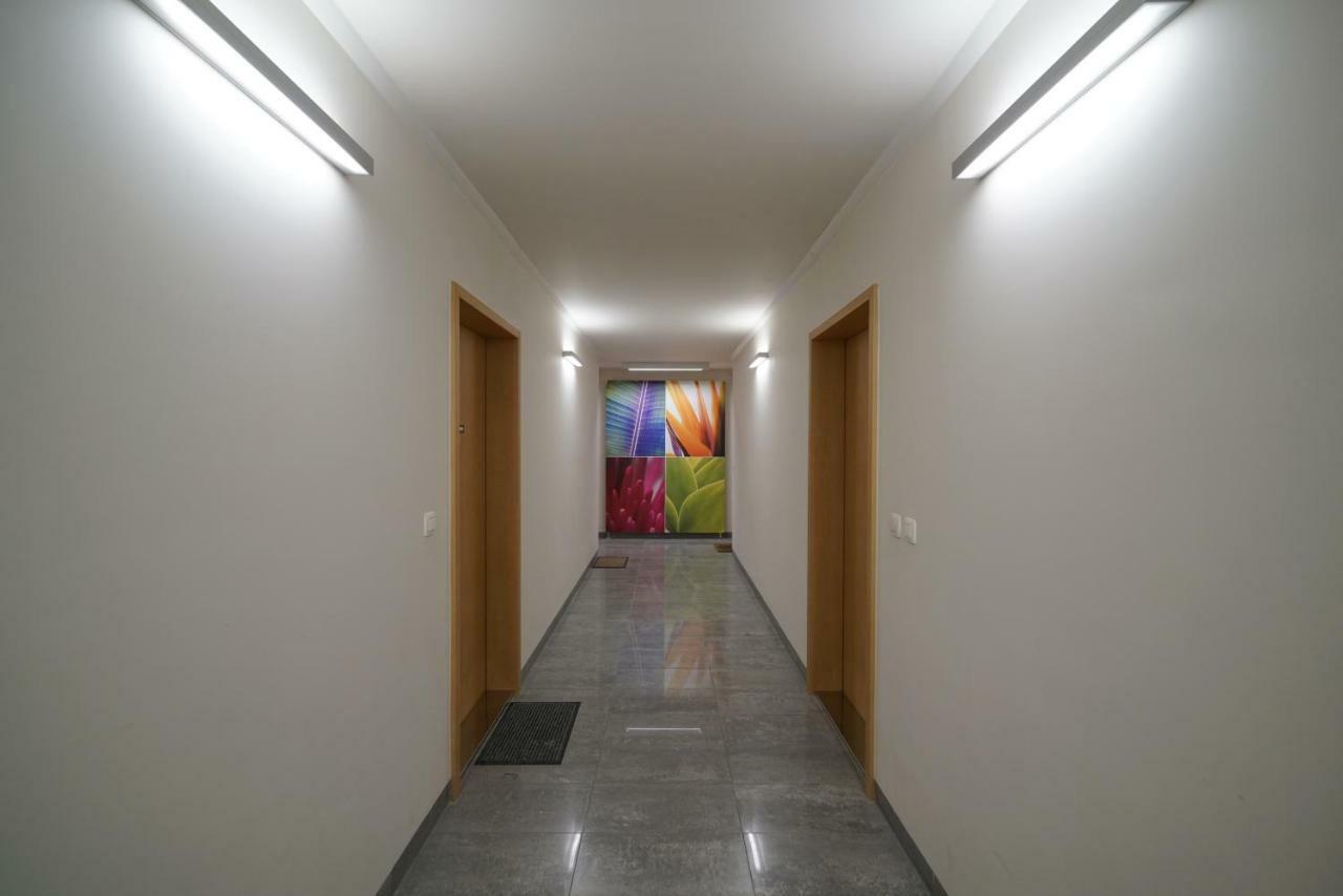 Flora Cozy Apartment ブラチスラヴァ エクステリア 写真
